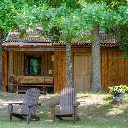 Holiday House With Sauna Цесіс Екстер'єр фото