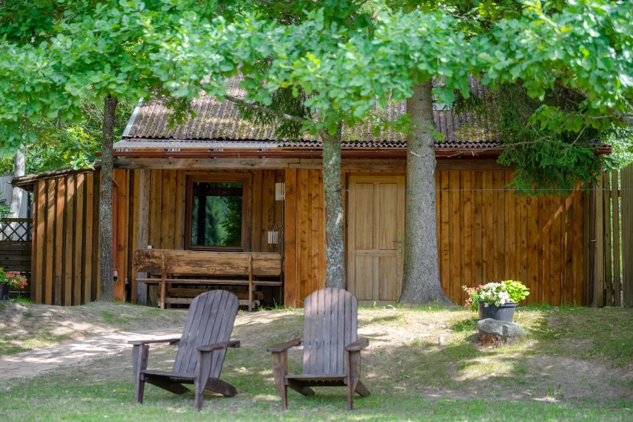 Holiday House With Sauna Цесіс Екстер'єр фото