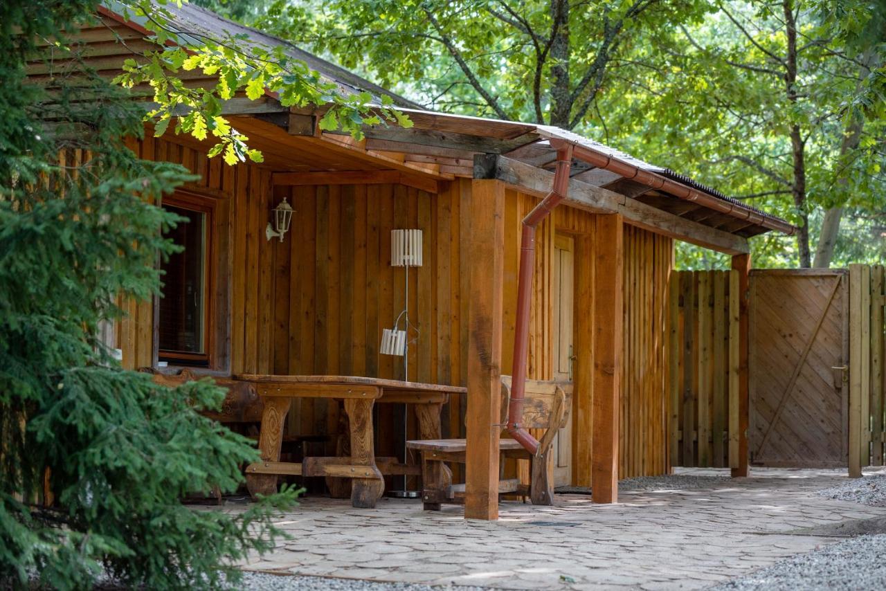 Holiday House With Sauna Цесіс Екстер'єр фото