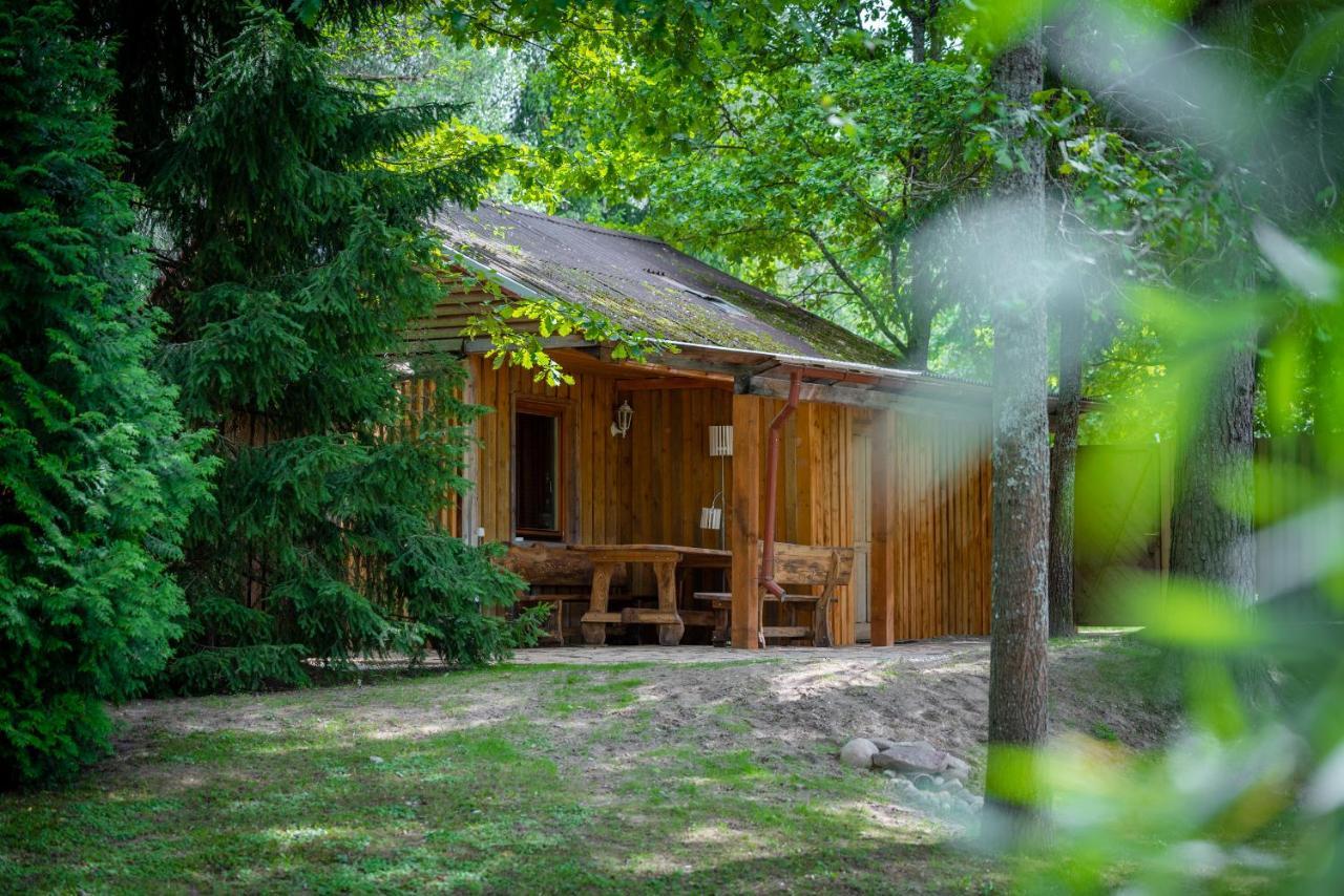 Holiday House With Sauna Цесіс Екстер'єр фото